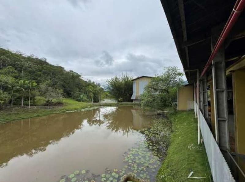 Foto 86 de 122: Terreno em leilão em Schroeder - SC — Terreno situado à Estrada Schroeder I, área de 94.840m², Schoeder/SC