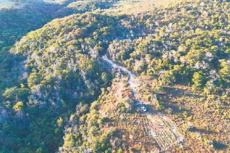Foto 2 de 7: Area Rural em leilão em Serranópolis - GO — IMÓVEL RURAL - A.T 38,72 HA - SERRANÓPOLIS/GO