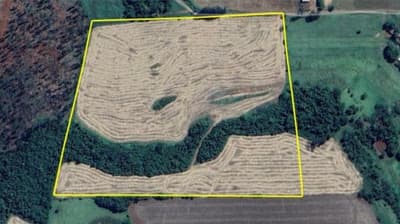 Foto 1 de 10: Area Rural em leilão em Nova Prata Do Iguaçu - PR — IMÓVEL RURAL COM ÁREA DE 121.000 m2- Em NOVA PRATA DO IGUAÇU