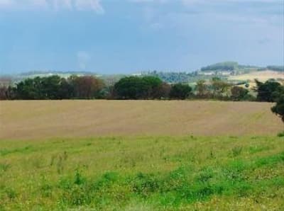 Foto 6 de 6: Area Rural em leilão em Apucarana - PR — IMÓVEL RURAL COM ÁREA DE 5,00 Alqueires Paulistas- Em APUCARANA/PR