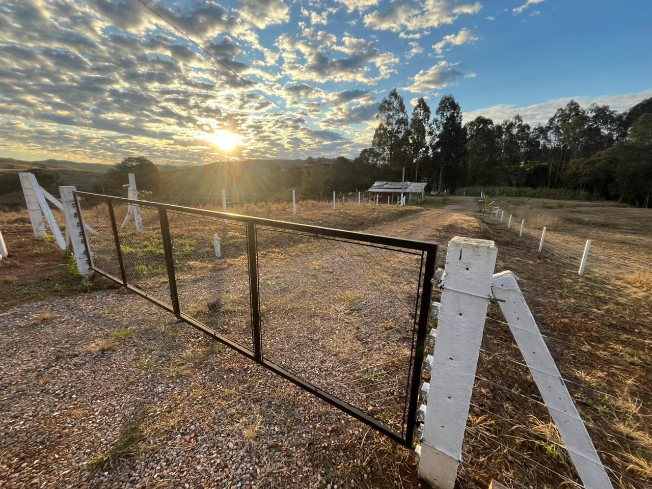 Area Rural em leilão em Marmeleiro - PR — IMÓVEL RURAL COM CASA, ÁREA APROX. DE 47.754 M² SÃO LUIZ - MARMELEIRO PR