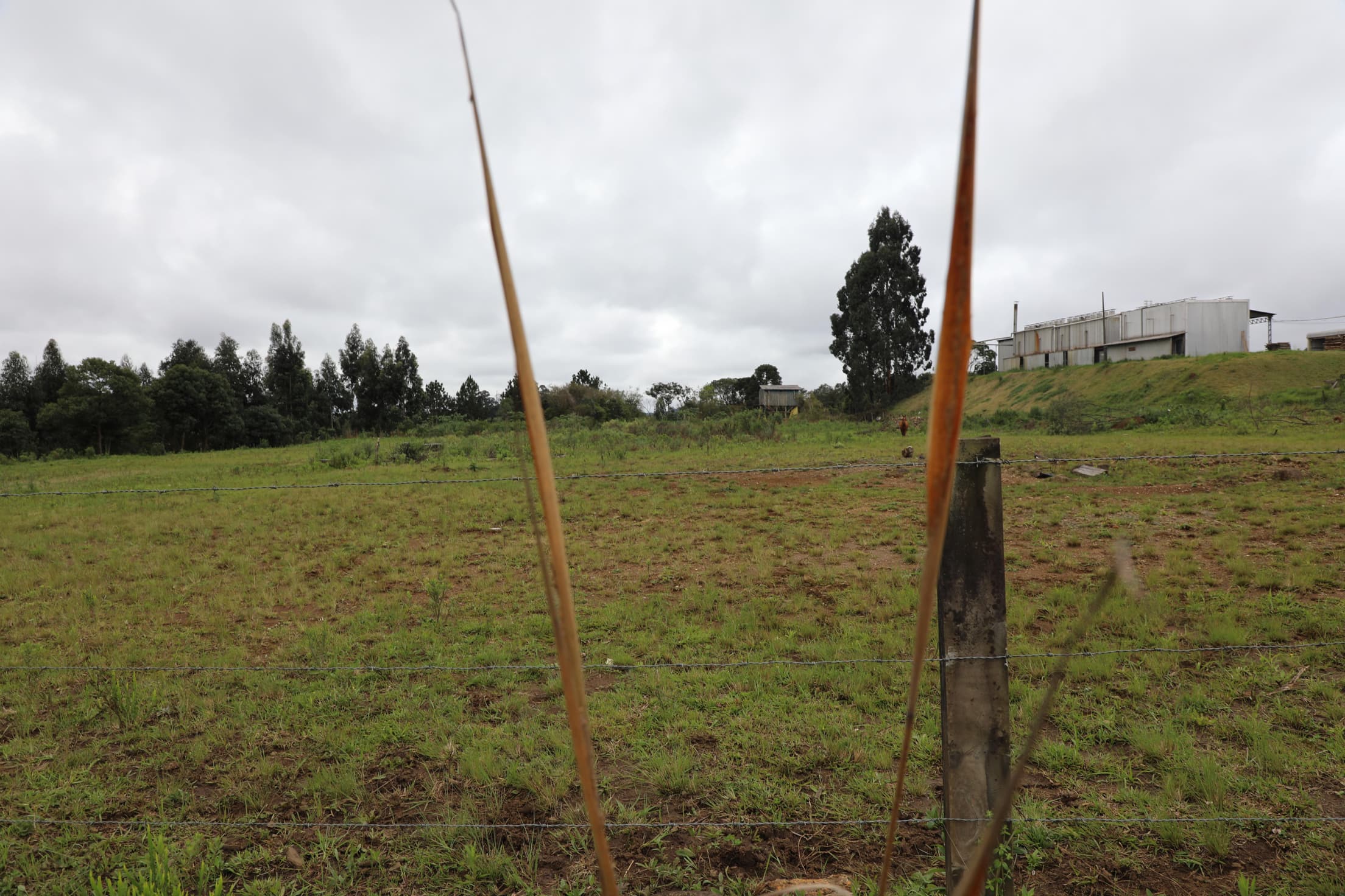 Foto 11 de 17: Terreno em leilão em Curitibanos - SC — IMÓVEL LOCALIZADO NA RUA ROMUALDO SCUR, ÁREA INDUSTRIAL RENATO FARIAS, MUNICÍPIO DE CURITIBANOS-SC COM A ÁREA DE 10.043,92M²