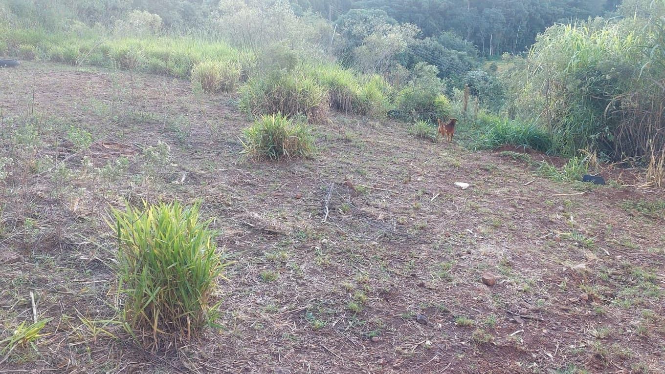 Foto 3 de 5: Terreno em leilão em Get\00falio Vargas - RS — TERRENO URBANO NO BAIRRO SÃO JOSÉ EM GETÚLIO VARGAS/RS