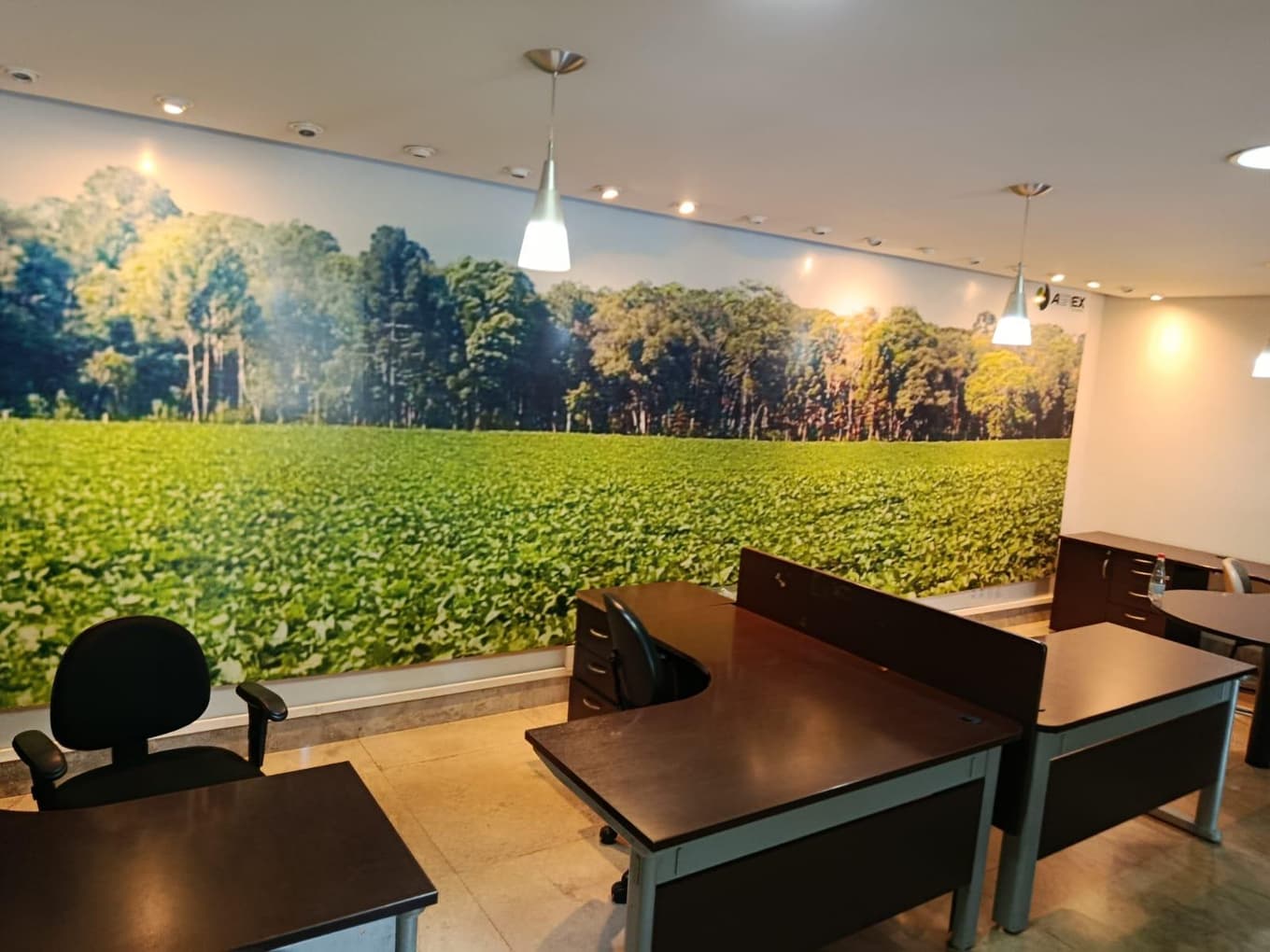 Foto 7 de 12: Comercial em leilão em Guaraí - TO — Prédio Comercial 310m² | Av. Bernardo Sayão/Guaraí-TO | Terreno 350m² Corredor Comercial e Lote Vazado! Ideal p/ Agronegócio e Comércio.