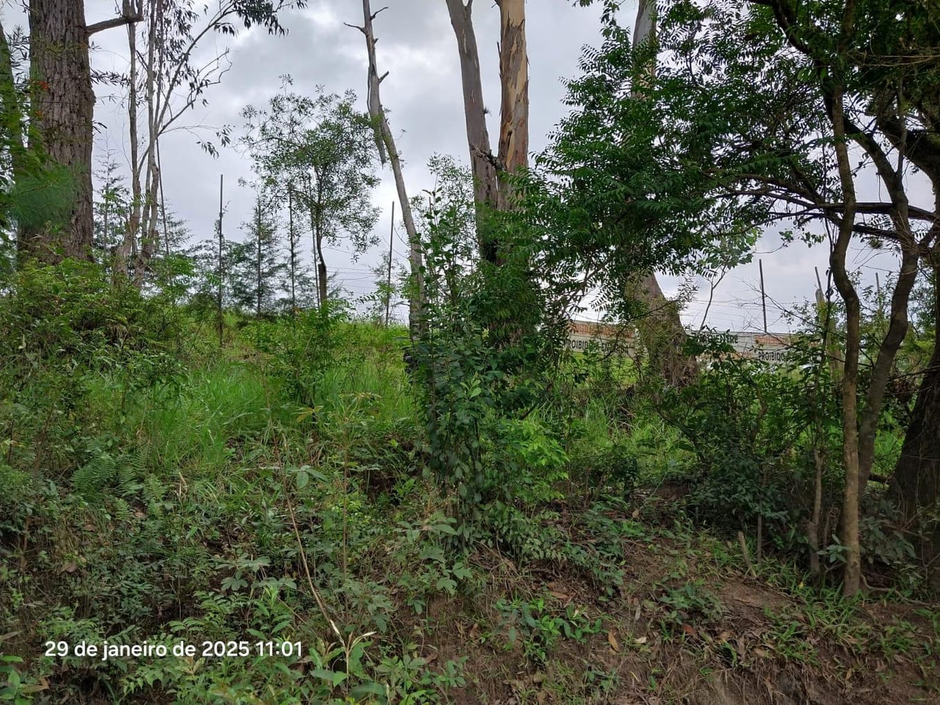Foto 15 de 16: Terreno em leilão em Ponta Grossa - PR, bairro Colônia Dona Luiza — Terreno urbano, com área de terreno total de 10.260,00m², Ponta Grossa/PR