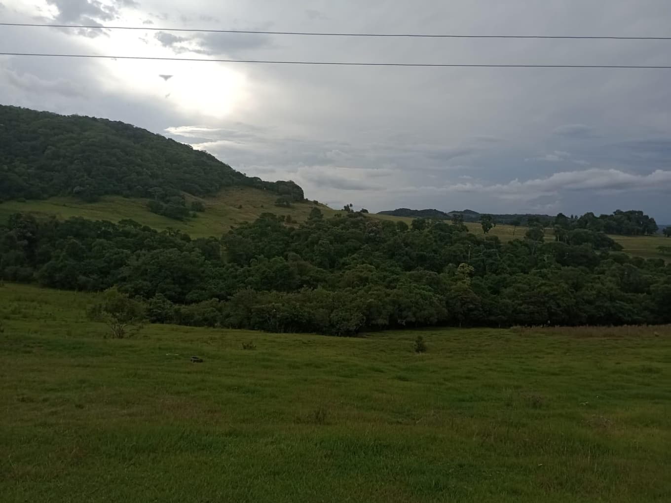 Foto 5 de 5: Area Rural em leilão em São Pedro Do Sul - RS, bairro Interior — IMÓVEL RURAL COM ÁREA TOTAL DE 70.000 M2 EM SÃO PEDRO DO SUL-RS