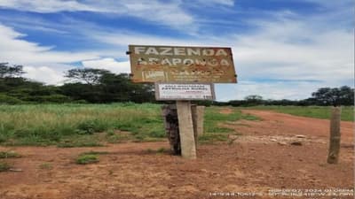 Foto 4 de 7: Area Rural em leilão em Nova Crixás - GO — Fazendas 2.913ha, Nova Crixás/GO