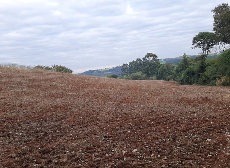 Foto 4 de 8: Terreno em leilão em Trindade Do Sul - RS, bairro Centro — IMÓVEL URBANO COM ÁREA TOTAL DE 3.735,66M2 EM TRINDADE DO SUL-RS