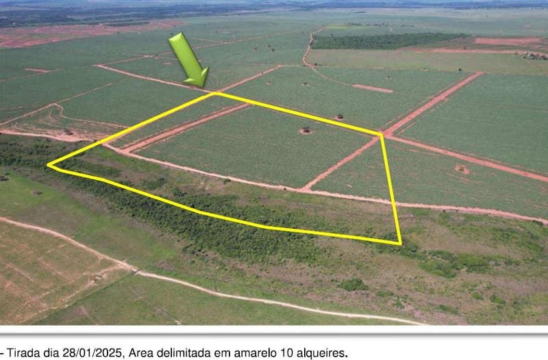Foto 10 de 10: Area Rural em leilão em Dracena - SP — 10 alqueires de Imóvel Rural com 158,0309 ha