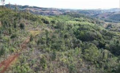 Foto 3 de 11: Area Rural em leilão em Quedas Do Iguaçu - PR, bairro Jardim Alegre — IMÓVEL RURAL COM ÁREA TOTAL DE 11,0255 hectares, EM QUEDAS DO IGUAÇU-PR