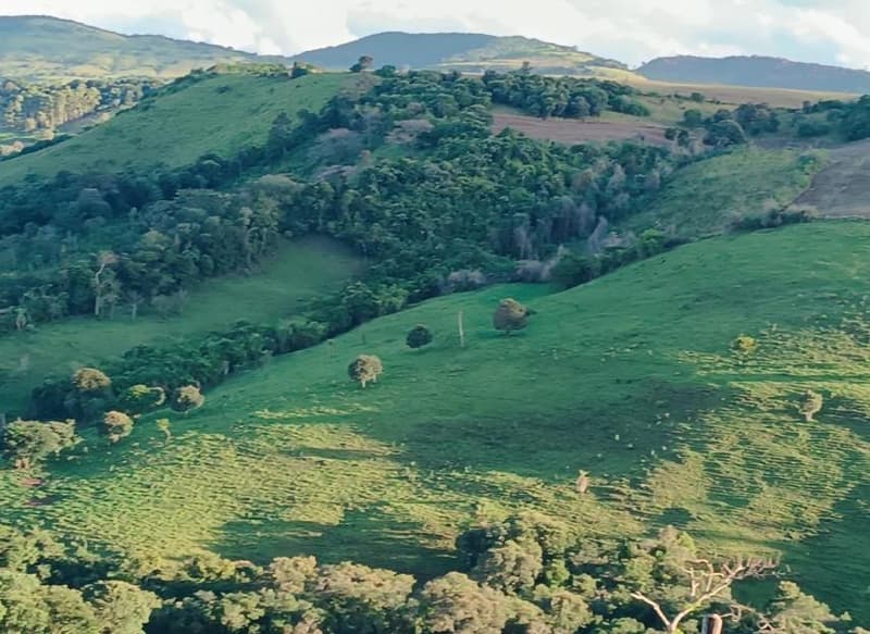 Foto 3 de 6: Area Rural em leilão em Pitanga - PR — IMÓVEL RURAL COM ÁREA DE 72.600,00M2 EM PITANGA -PR