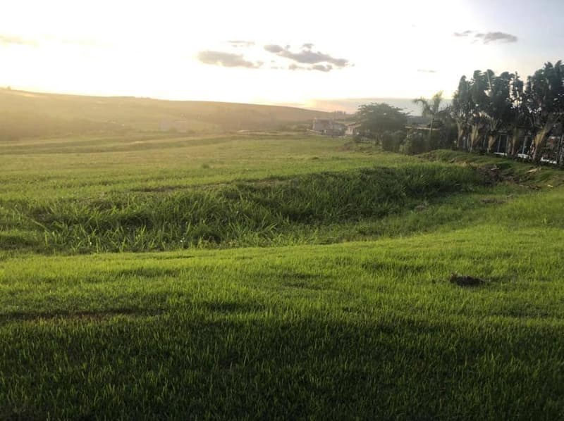 Foto 4 de 8: Terreno em leilão em Sertanópolis - PR — Lote, Sertanópolis / PR