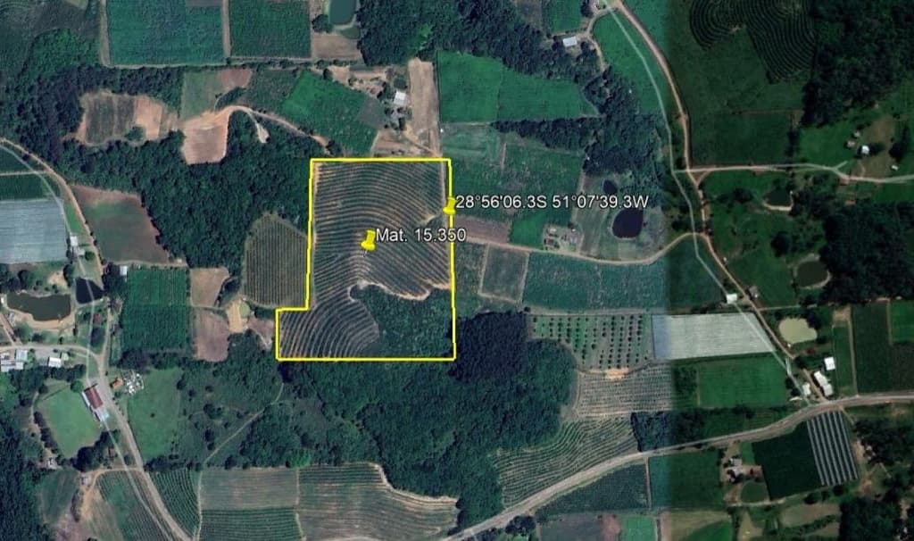 Foto 5 de 6: Area Rural em leilão em São Marcos - RS, bairro Interior — IMÓVEL RURAL COM ÁREA DE 62.250,00 M2 LINHA RIACHUELO EM SÃO MARCOS -RS