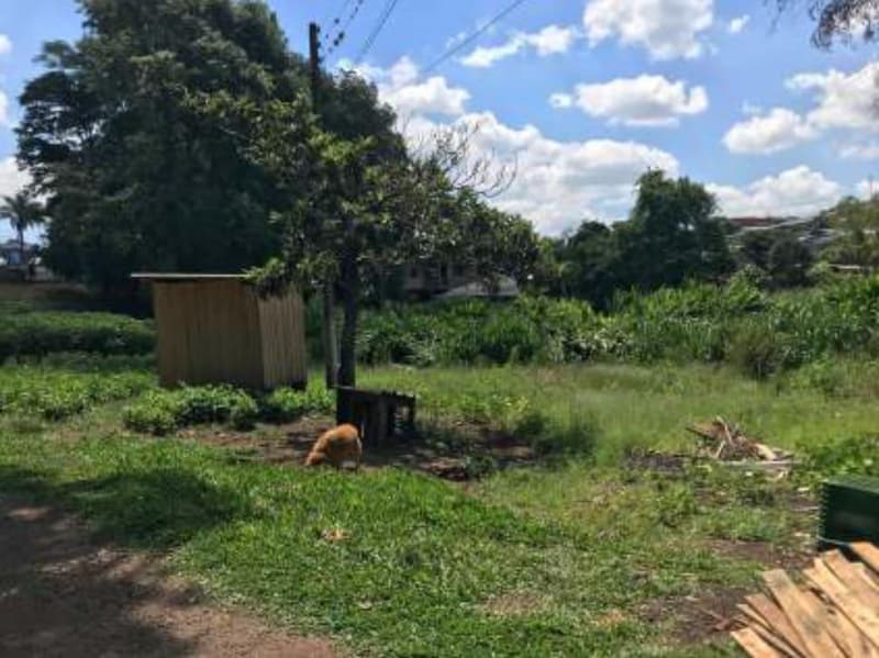 Foto 44 de 45: Casa em leilão em Xaxim - SC — Chácara Urbana A.T. 5.000 m² A.C. 135m² Santa Terezinha