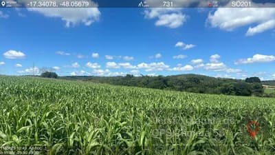 Foto 5 de 6: Area Rural em leilão em Ipameri - GO — IMÓVEL RURAL | A.T. 71,4524 HA FAZ. SANTA ROSA | IPAMERI/GO - LEILÃO EMPRESARIAL SISTÊMICO SICREDI