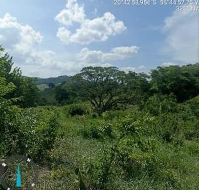 Foto 4 de 6: Area Rural em leilão em Bodoquena - MS — IMÓVEL RURAL | A.T. 12,4977HA - SITIO BARRO PRETO LOTE 68 | COLÔNIA CANAÃ | BODOQUENA/MS