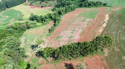 Foto 10 de 10: Area Rural em leilão em Nova Prata Do Iguaçu - PR — IMÓVEL RURAL COM ÁREA TOTAL DE 20.000,00 M2 EM NOVA PRATA DO IGUAÇU-PR