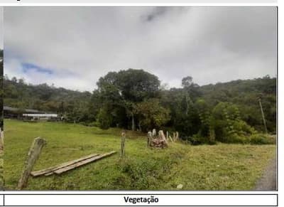 Foto 3 de 13: Area Rural em leilão em Campina Grande Do Sul - PR — Terras rurais, com área de 845,9 hectares, localizada no Município de Campjna Grande do Sul/PR.