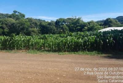 Foto 3 de 7: Imóvel em leilão em São Bernardino - SC, bairro Vila Scheid — IMÓVEL URBANO COM ÁREA DE 1.000,00 M2 EM SÃO BERNARDINO-SC