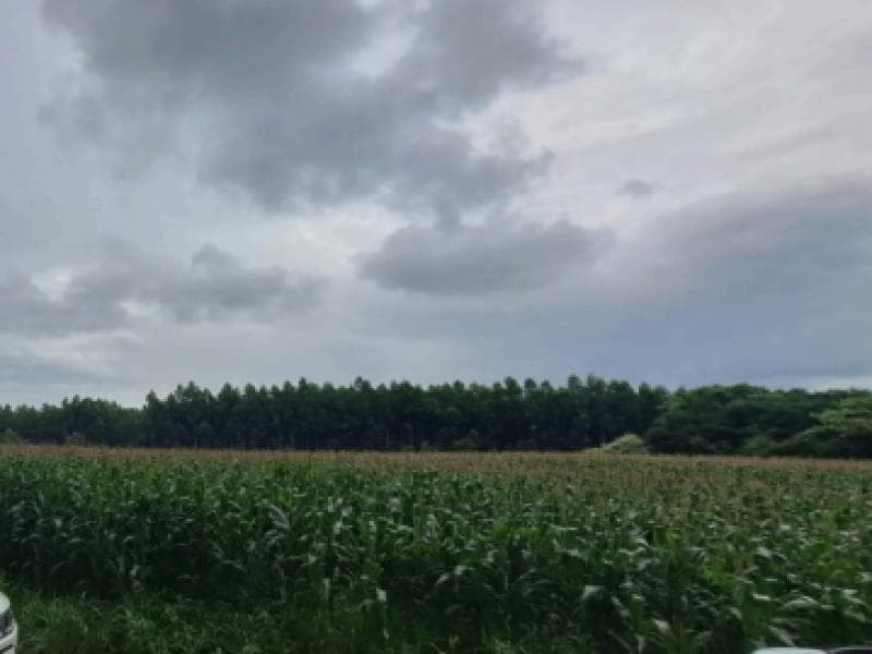 Foto 2 de 4: Terreno em leilão em Chapecó - SC, bairro Alto da Serra — Lote, 42852.48 m2, Chapecó / SC