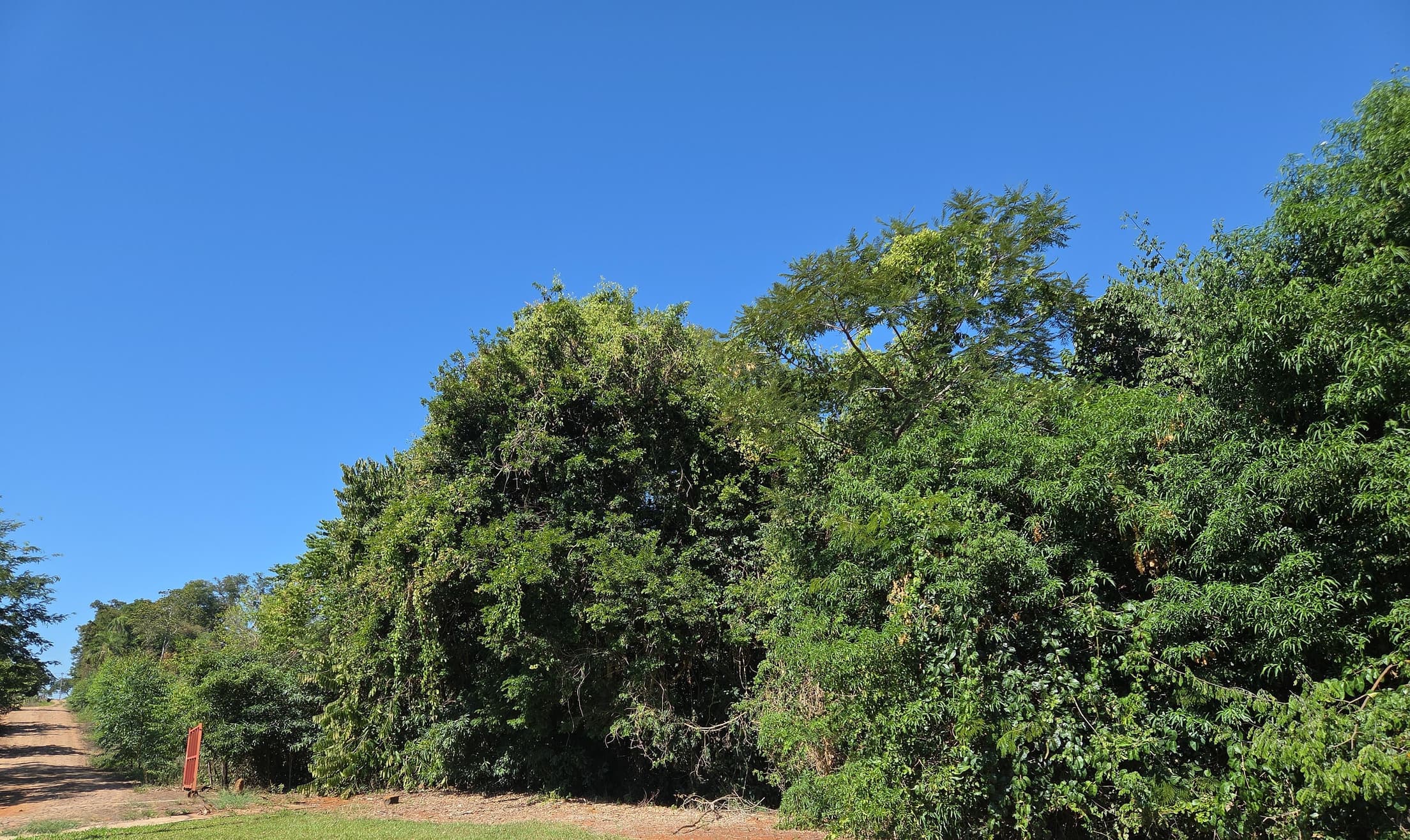 Foto 2 de 4: Terreno em leilão em Nova Prata Do Iguaçu - PR, bairro Colônia Missões — LOTE URBANO Nº 11, QUADRA Nº 01 DO LOTEAMENTO QUATRO PORTEIRAS DO MUNICÍPIO DE NOVA PRATA DO IGUAÇU/PR ÁREA DE 600M²