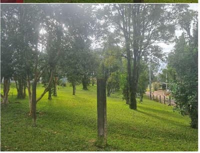 Foto 11 de 23: Area Rural em leilão em Francisco Beltrão - PR, bairro São Miguel — Parte ideal correspondente a 19.150,00 , contendo uma área superficial de 94.839,10m² - Colônia Missões, Francisco Beltrão/PR