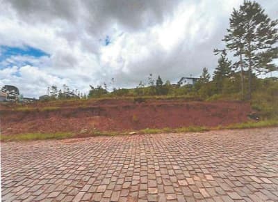 Foto 5 de 8: Terreno em leilão em Getúlio Vargas - RS — VENDA CONJUNTA DE QUATRO MATRÍCULAS, EM GETÚLIO VARGAS/RS