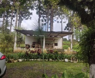 Foto 2 de 26: Area Rural em leilão em São João Do Triunfo - PR — IMÓVEL RURAL COM EXTENSÃO URBANA - ÁREA TOTAL DE 60.726,43 m²-AVENIDA DAS ARAUCÁRIAS-LADEIRA- SÃO JOÃO DO TRIUNFO-PR