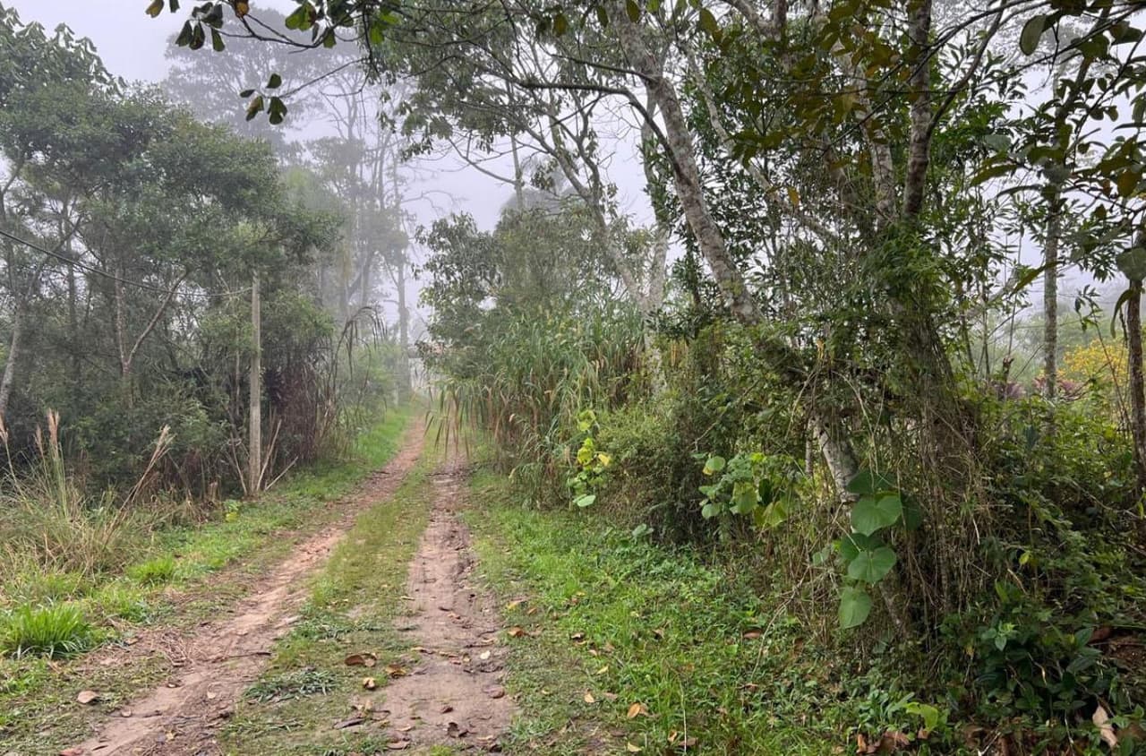 Foto 5 de 5: Terreno em leilão em São Paulo - SP — Terreno (Chácara) em Embu-Guaçu/SP com 27.200 m²