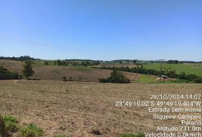 Foto 4 de 4: Area Rural em leilão em Wenceslau Braz - PR — Imóvel Rural, 3ha, Fazenda Mato Preto