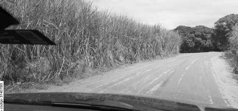 Foto 5 de 10: Area Rural em leilão em Porto Calvo - AL — IMÓVEL RURAL OBJETO DA MATRÍCULA 1.947 DO CARTÓRIO DE REGISTRO DE IMÓVEIS DA COMARCA PORTO CALVO/AL