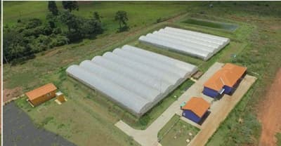 Foto 1 de 13: Area Rural em leilão em São Simão - SP — Sítio com ESTRUTURA 100% PRONTA para AQUICULTURA - com 5,5 Alqueires à 3km de São Simão e 40km de Ribeirão Preto/SP