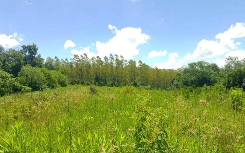 Foto 6 de 10: Area Rural em leilão em São José Do Inhacorá - RS — IMÓVEL RURAL COM ÁREA DE 20.000,00 M2² - EM SÃO JOSÉ DO INHACORÁ/RS