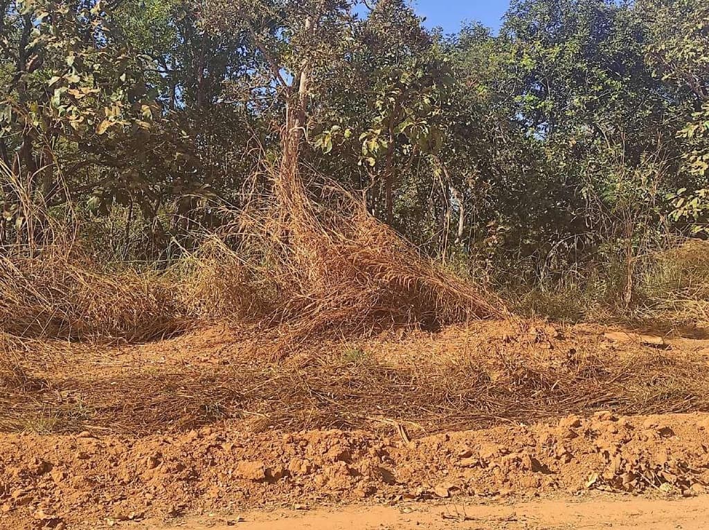 Foto 6 de 6: Terreno em leilão em Caldas Novas - GO — Terreno, A.T. 360m², Portal das Águas Quentes