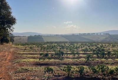 Foto 7 de 12: Area Rural em leilão em Guapé - MG — IMÓVEL RURAL Em GUAPÉ/MG