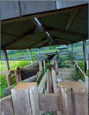 Foto 4 de 9: Area Rural em leilão em Nova Bandeirantes - MT — IMÓVEL RURAL Sítio L & B | A.T. 36,30 HA | NOVA BANDEIRANTES /MT