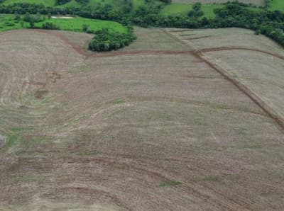 Foto 4 de 8: Area Rural em leilão em Nova Cantu - PR — IMÓVEL RURAL COM ÁREA TOTAL DE 16.96ha- Em NOVA CANTU/PR