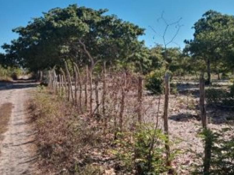 Foto 5 de 5: Terreno em leilão em Pacajus - CE, bairro Loteamento Cidade Oeste — Lote, Pacajus / CE