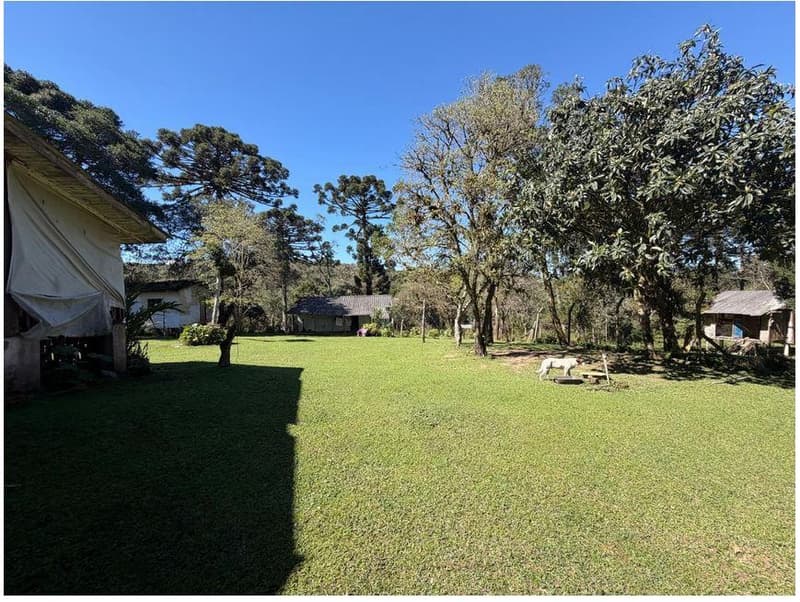 Foto 18 de 35: Area Rural em leilão em São José Dos Pinhais - PR — Sitio com área total de 120.974,16m², localizado Borda do Campo em São José dos Pinhais/PR