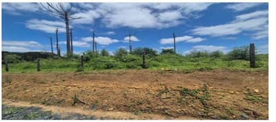 Foto 3 de 4: Area Rural em leilão em São João Do Triunfo - PR — Terreno rural com área de 238.216,113m², situado na Localidade de Pinhalzinho, São João do Triunfo/PR