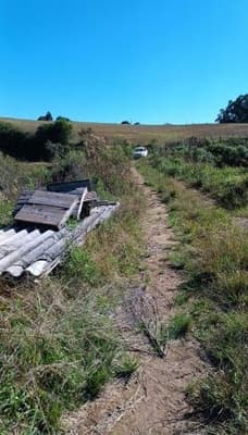 Foto 6 de 8: Area Rural em leilão em Fontoura Xavier - RS, bairro Interior — IMÓVEL RURAL (FRAÇÃO IDEAL) 39.790 m² EM FONTOURA XAVIER-RS