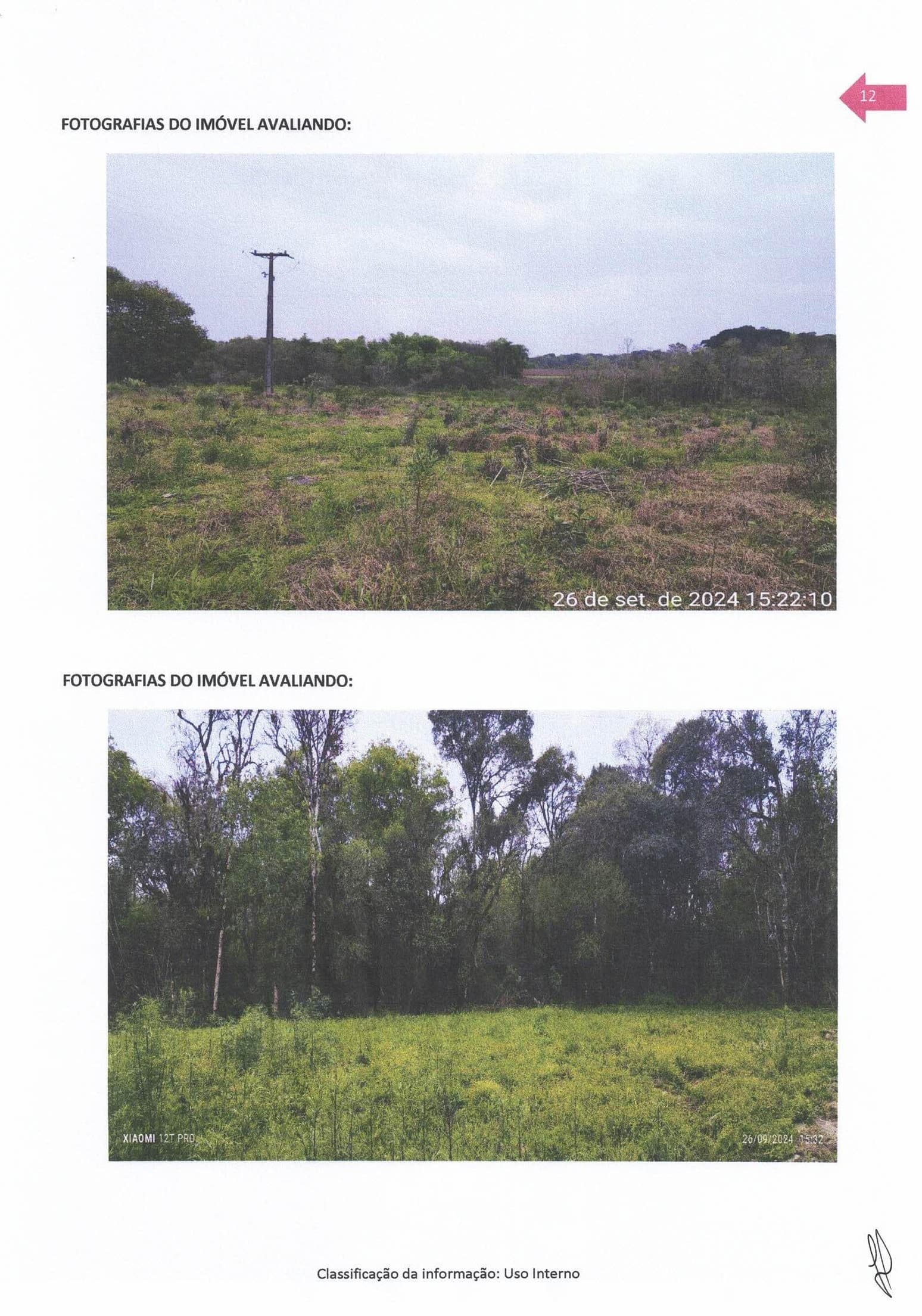 Foto 5 de 8: Terreno em leilão em Rebouças - PR — Um terreno rural, situado na localidade de Riozinho ou Potinga, no município e Comarca de Rebouças, PR, com a área superficial de 275.190,00 m² (duzentos e setenta e cinco mil, cento e noventa metros quadrados), ou 27,5190 hectares, cadastrado no INCRA so