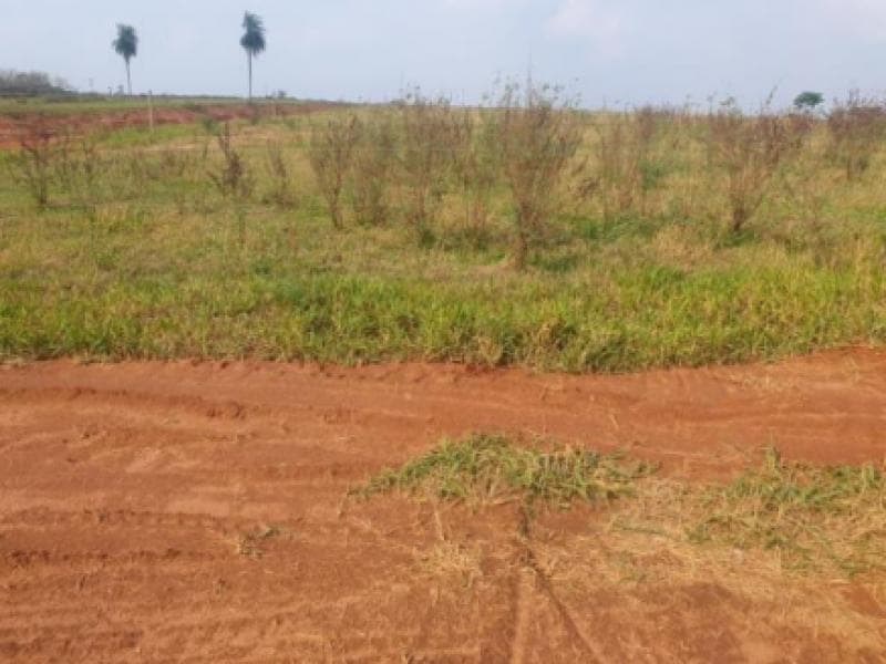Foto 2 de 3: Terreno em leilão em Marília - SP, bairro Jardim Botânico I — Lote, Marília / SP