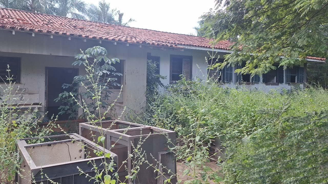 Foto 11 de 16: Terreno em leilão em Icém - SP — Imóvel 833m² | Icém/SP | Terreno 2,5 Hectares |