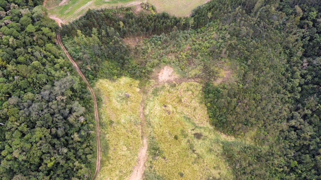 Foto 2 de 8: Area Rural em leilão em Rio Fortuna - SC — IMÓVEL RURAL COM ÁREA TOTAL DE 67.203,66m2, EM RIO FORTUNA-SC
