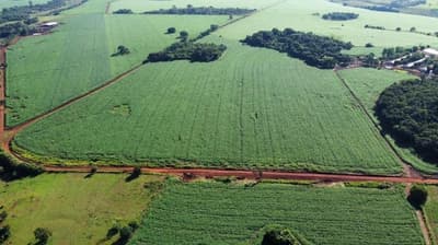 Foto 2 de 8: Area Rural em leilão em Santo Antônio Da Barra - GO — IMÓVEL RURAL | A.T. 84,72,08HA FAZ. BARRA (CULTURA DE GRÃOS) | SANTO ANTÔNIO DA BARRA/GO