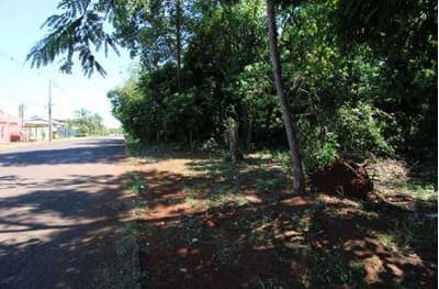 Foto 11 de 16: Terreno em leilão em Foz Do Iguaçu - PR — Terreno com 4.919,10 m² , sem benfeitorias, na Avenida Theodoro Risden nº 598, Foz do Iguaçu/PR