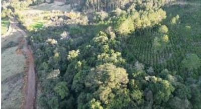 Foto 3 de 9: Area Rural em leilão em Quedas Do Iguaçu - PR, bairro Quedas do Iguaçu — IMÓVEL RURAL COM ÁREA TOTAL DE 10.668500 (hectares) EM QUEDAS DO IGUAÇU-PR