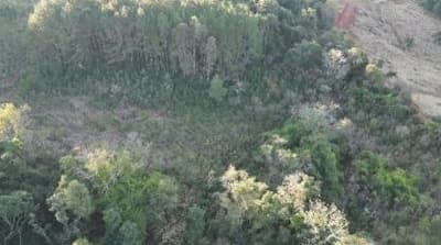 Foto 16 de 16: Area Rural em leilão em Quedas Do Iguaçu - PR — IMÓVEIS RURAIS VENDA CONJUNTA DE DUAS MATRÍCULAS- Em QUEDAS DO IGUAÇU/PR