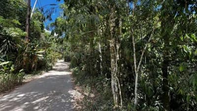 Foto 7 de 9: Terreno em leilão em Ilhabela - SP, bairro Barra Velha — id 778 - Direitos Possessórios - Terreno - Ilhabela/SP